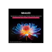 LG 55 инчов LG QNED evo AI QNED93 4K Smart TV 2025, На снимката е изобразено цвете в пълния си блясък. Екранът се разделя наполовина, за да се покаже решетка над лявата страна на цветето, а дясната страна на цветето е в ярко червено, жълто, синьо и лил, 55QNED93A6A, thumbnail 6