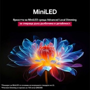 LG 65-инчов LG QNED evo AI QNED85 4K Smart TV 2025, Папагал на клон на дърво в ярък цвят. В заглавието се разказва за това как LG Al Picture Pro е направила впечатляващи визуални подобрения на резолюцията, яркостта, дълбочината и яснотата на сцената., 65QNED85A3C, thumbnail 8