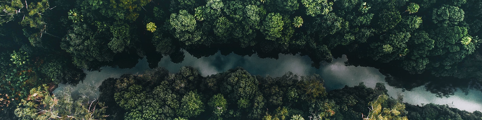 Брилянтният мозък, интелигентният процесор α91