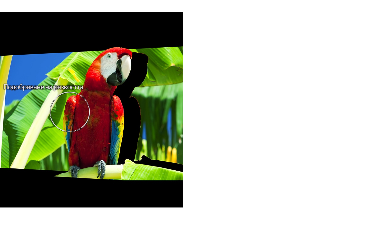 Подобряване на рязкостта на база на честотата1