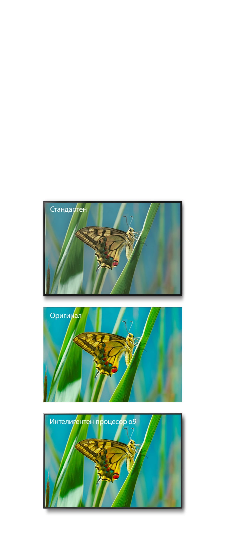 Технология True Color Accuracy Pro2