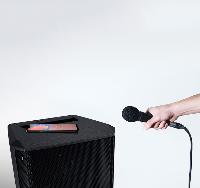 Voces divertidas y Control de Eco 2