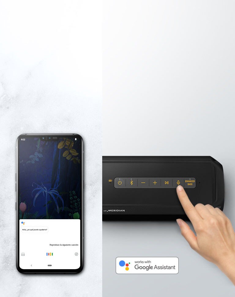 Comando de voz para el control remoto2