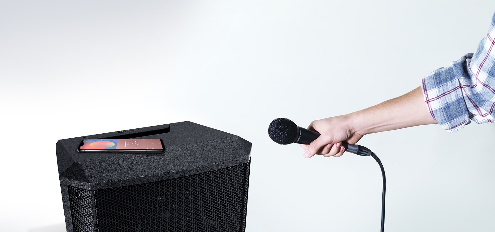 Voces divertidas y Control de Eco<br>1