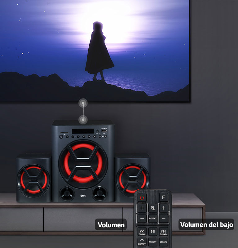 Control remoto diseñado especialmente2