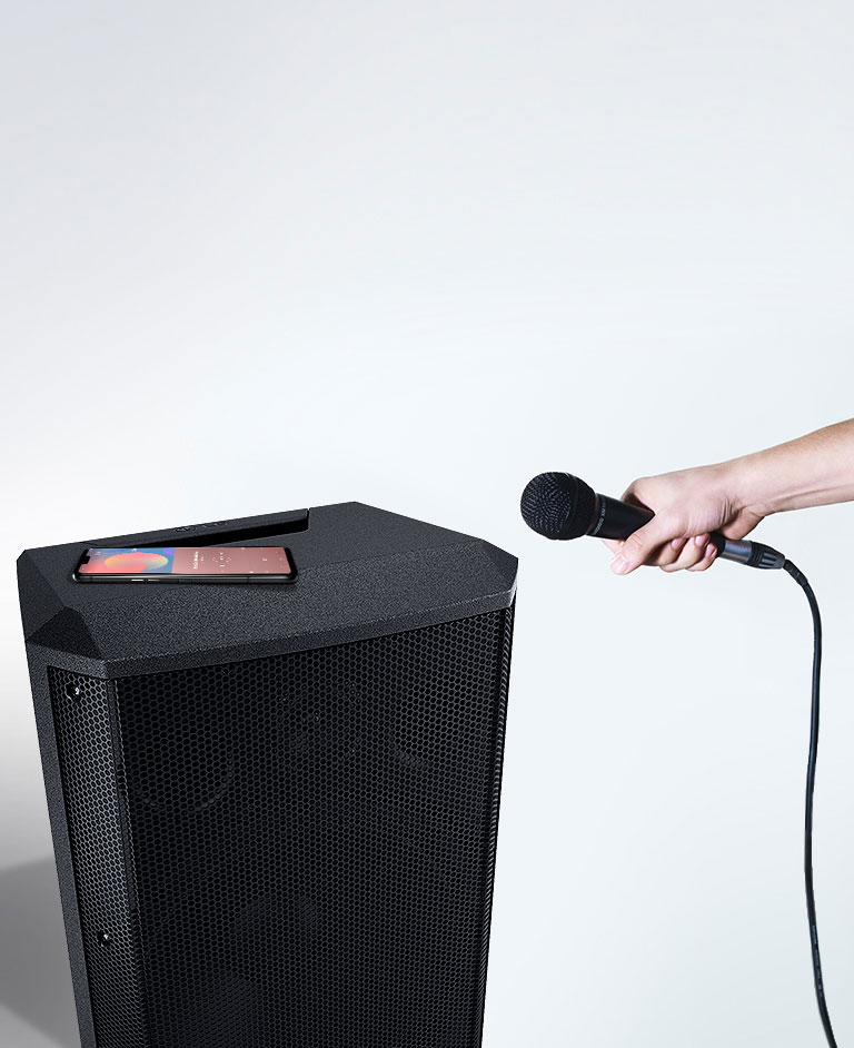 Voces divertidas y Control de Eco<br>2