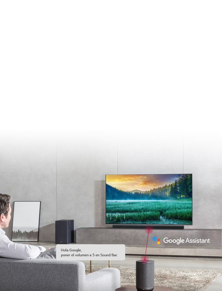 Funciona con Google Asistant2