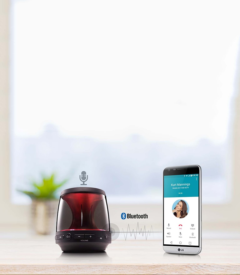 Micrófono Integrado 2