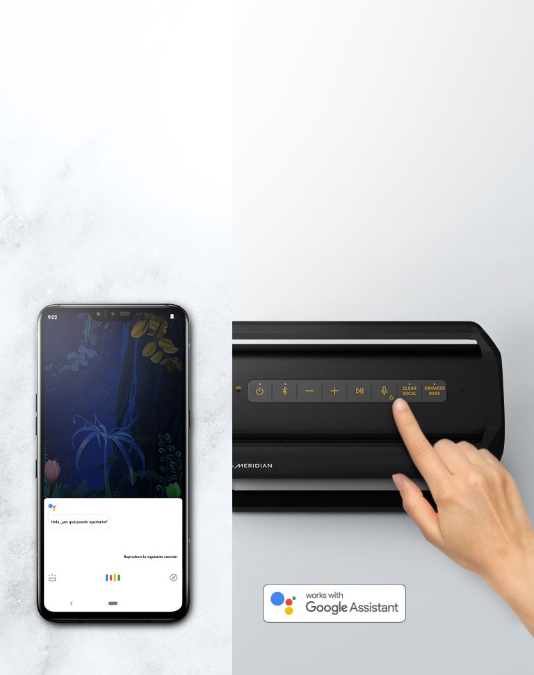 Comando de voz para el control remoto2