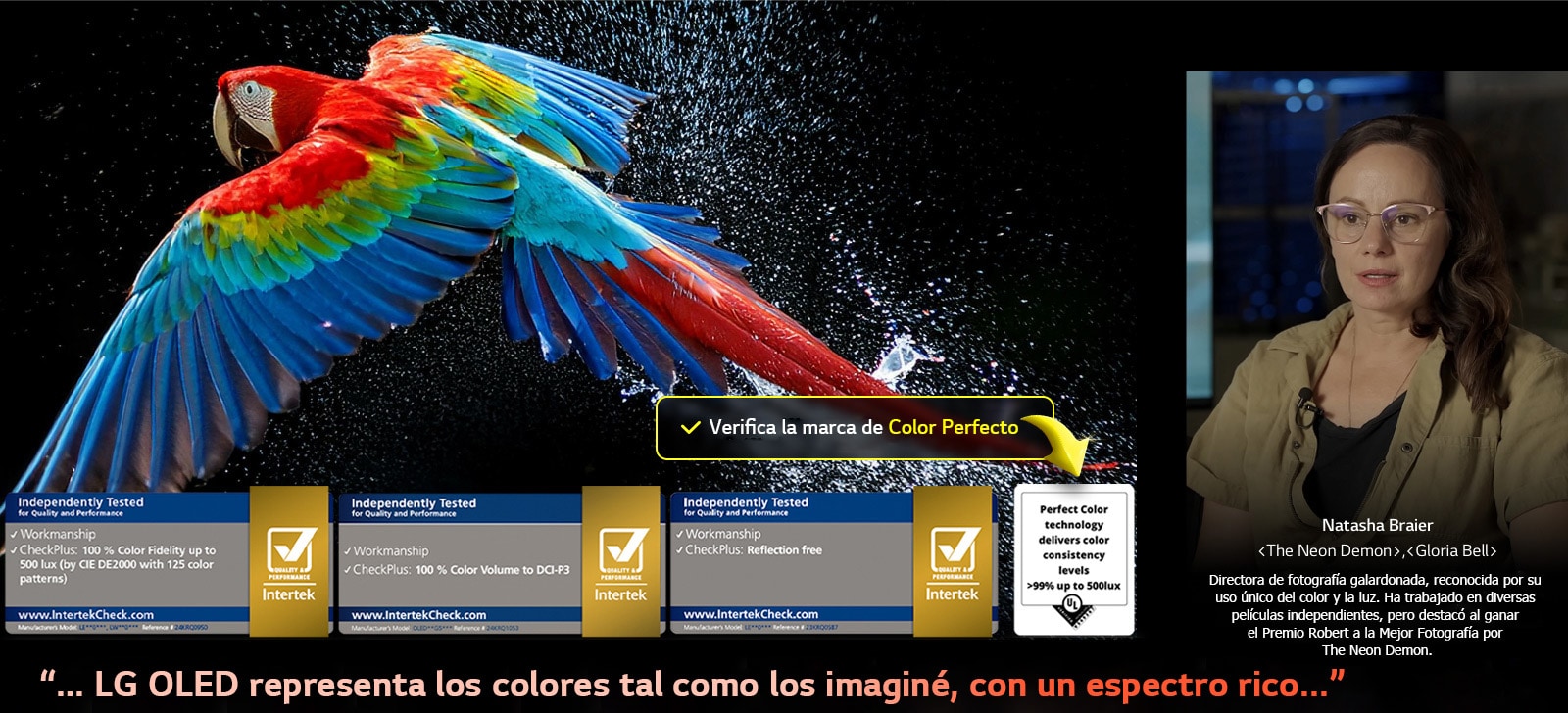 Un loro colorido en ultra alta definición sobre un fondo negro. A su alrededor hay gotas de agua suspendidas en el aire. La imagen muestra un Color Perfecto, ya que cada tono diferente del cuerpo del loro es vibrante y vívido. El fondo oscuro con salpicaduras de agua detalladas también resalta cómo la pantalla está libre de reflejos. Se observan diferentes certificaciones de logotipos de UL e Intertek. Estos se refieren a su 100&nbsp;% de fidelidad de color, 100&nbsp;% de volumen de color y su afirmación de ausencia de reflejos. También se observa un texto; verifica la marca de certificación Color Perfecto.