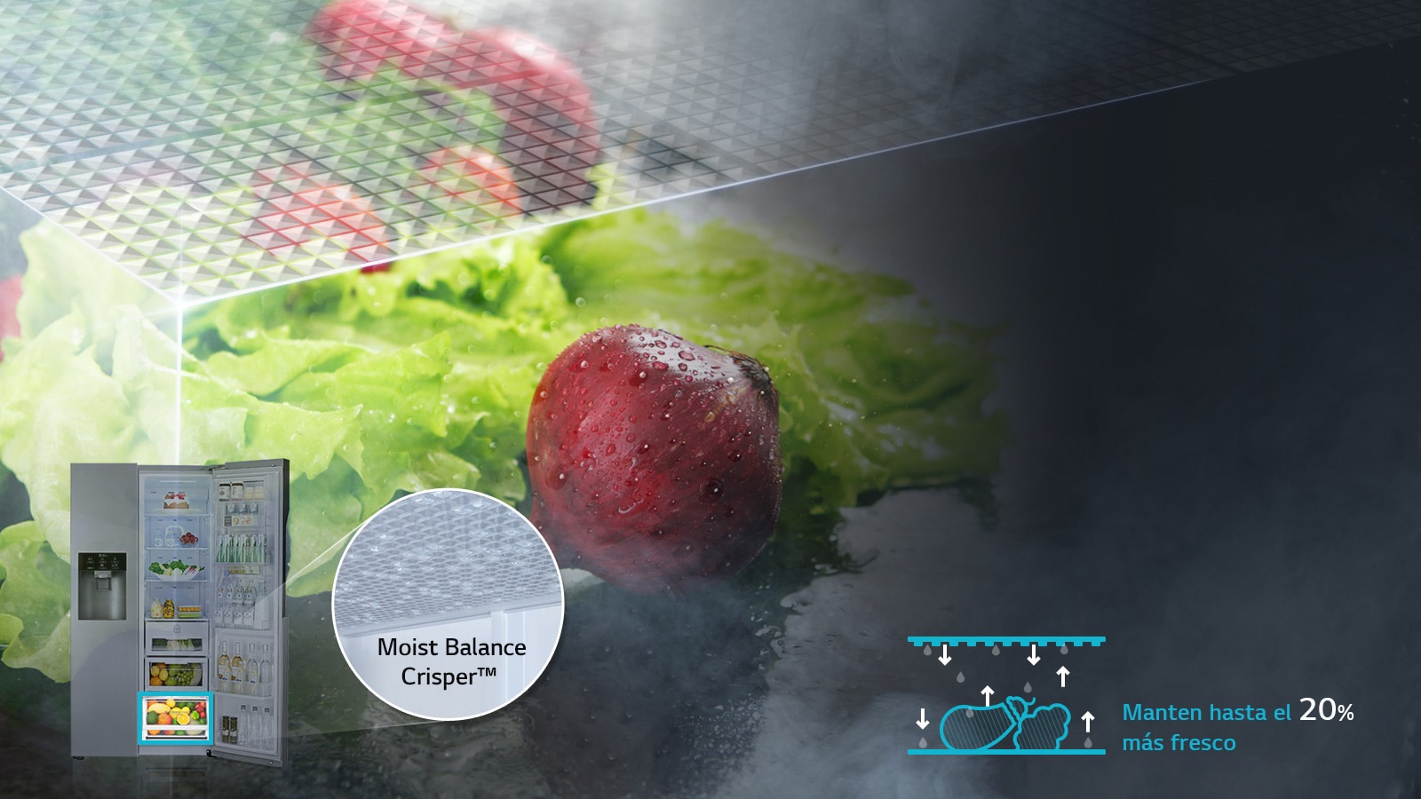 Moist Balance Crisper3