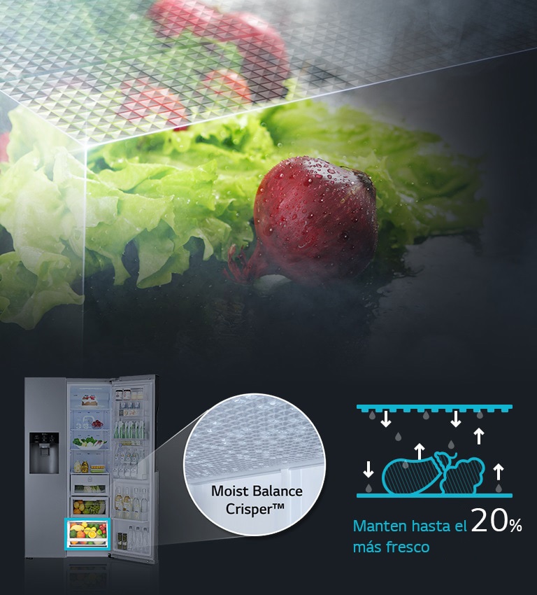 Moist Balance Crisper4