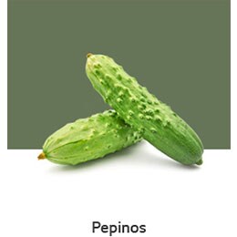 D09-01_REF-NatureFRESH-LinearTF-03-UsefulTips-04-5-Cucumbers