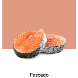 D10-04_REF-NatureFRESH-LinearTF-03-UsefulTips-04-12-Fish