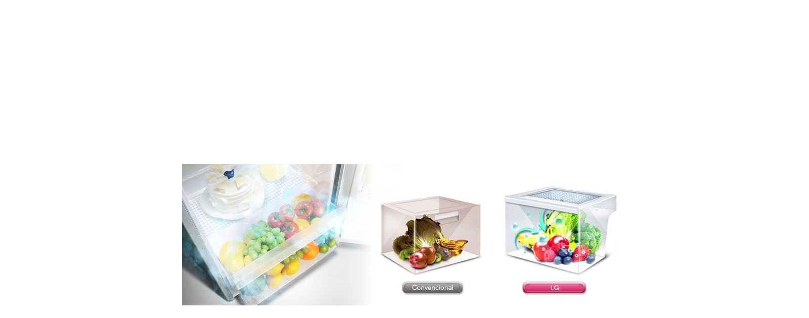 Moist Balance Crisper™