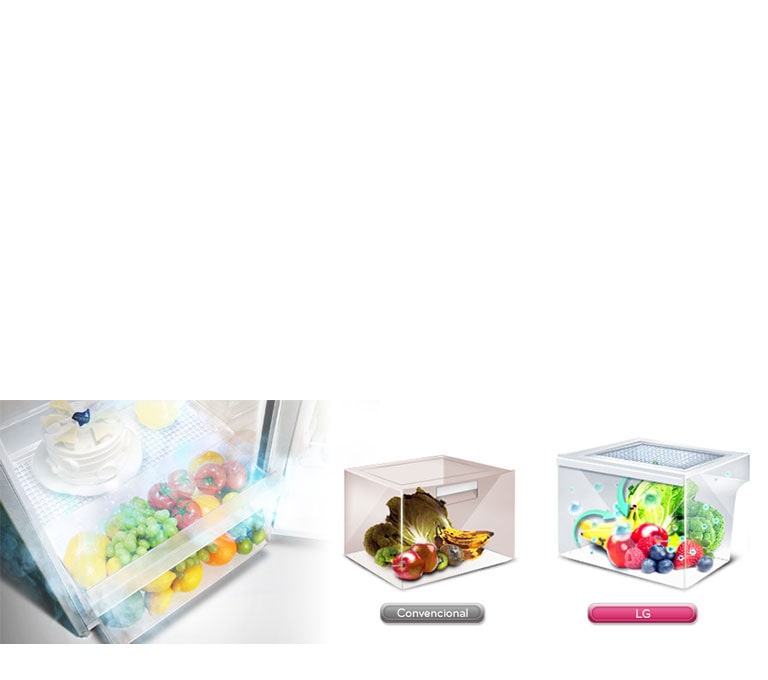 Moist Balance Crisper™