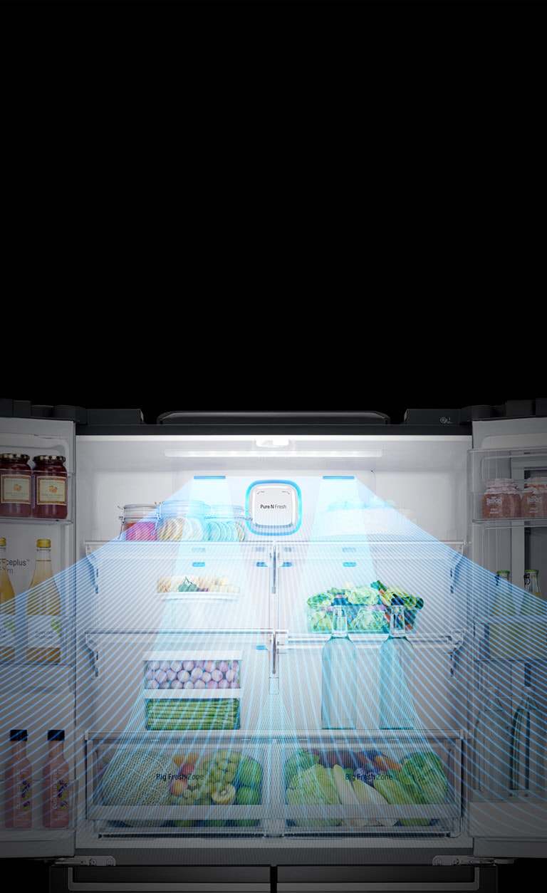 Mantiene la comida fresca por más tiempo2