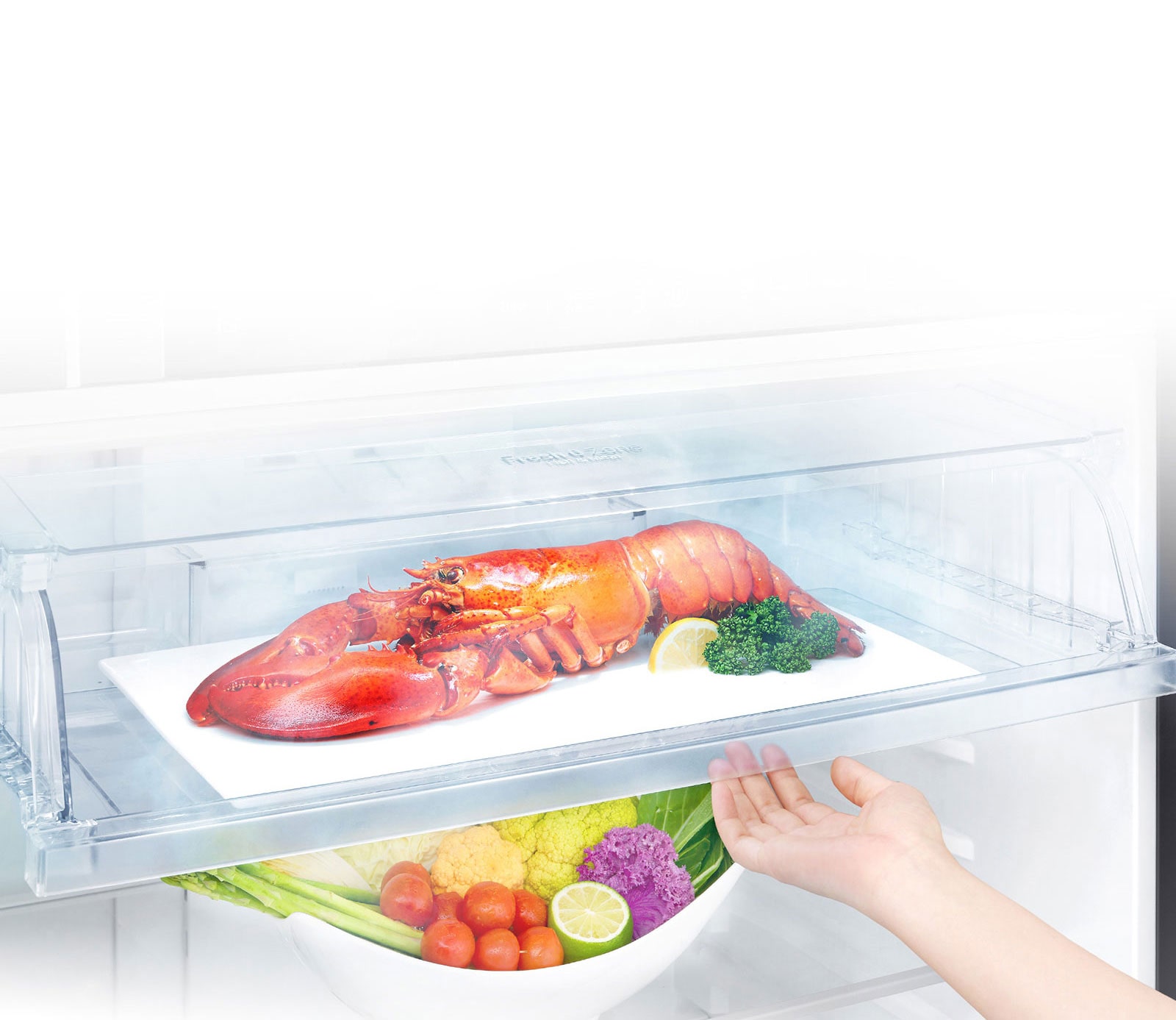 Ahorra tiempo en el descongelado de carnes<br>3