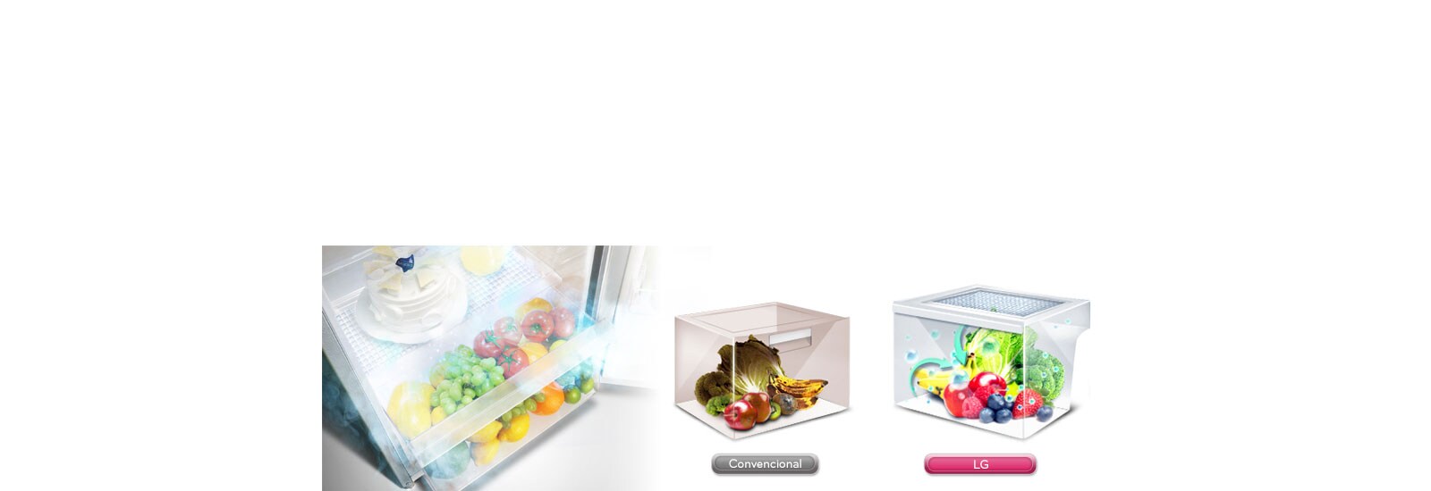 Moist Balance Crisper™1