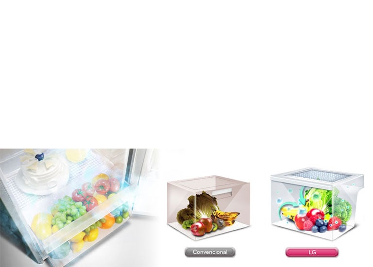 Moist Balance Crisper™2