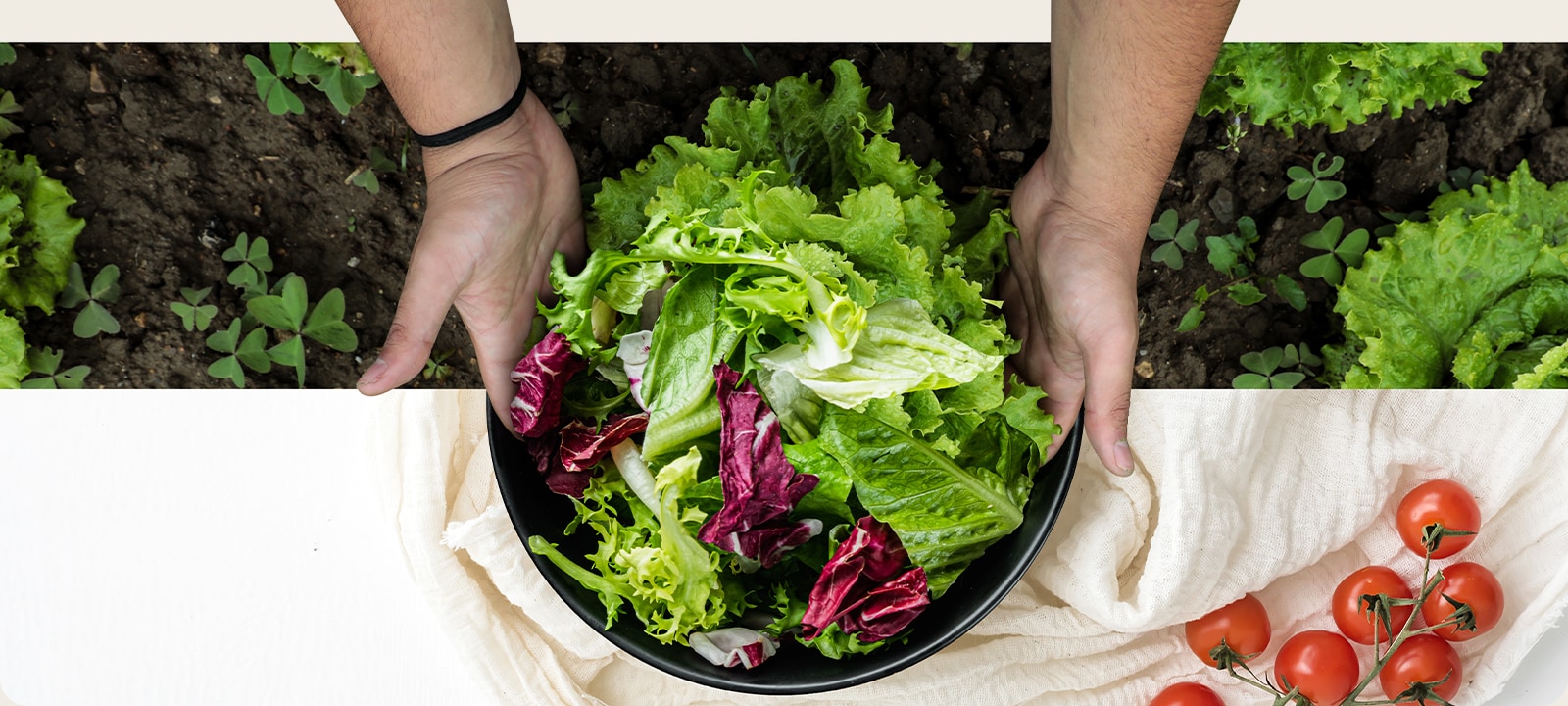 La parte superior muestra la cosecha de lechuga y la inferior una ensalada fresca, conectadas como una sola imagen.