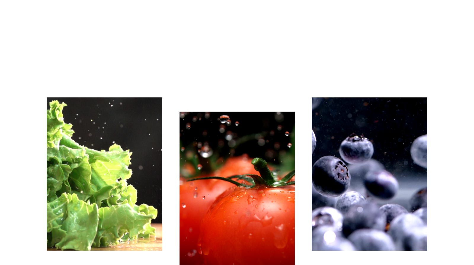 frutas y verduras como lechuga, tomates y arándanos están recién conservadas en el producto.