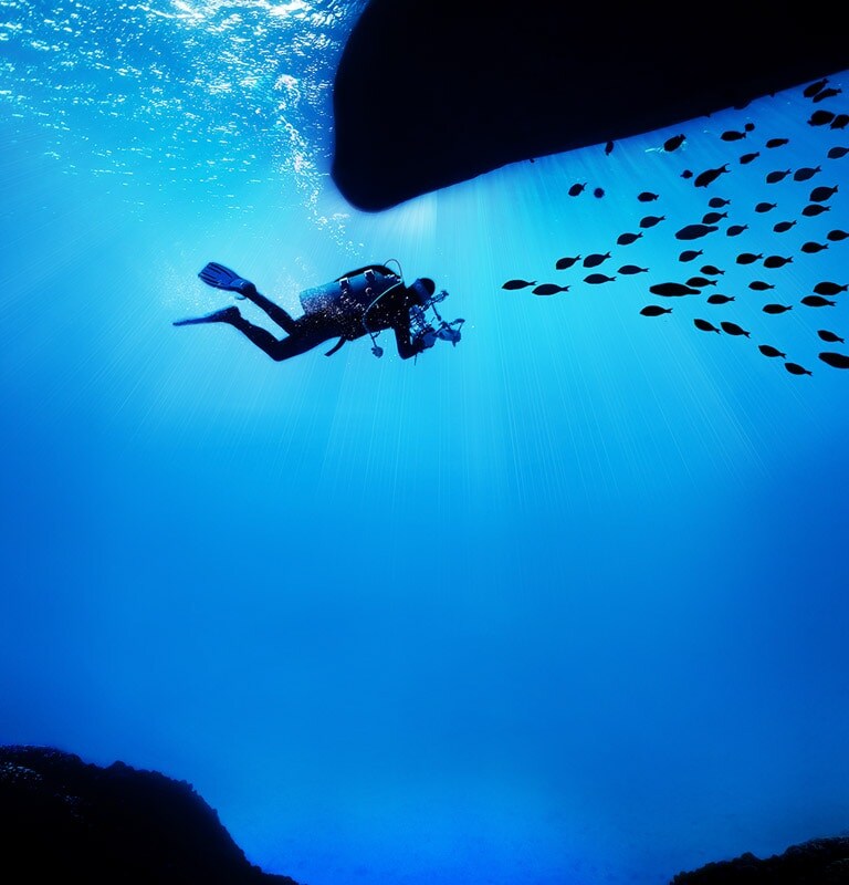 Color Negro Perfecto da vida a las imágenes