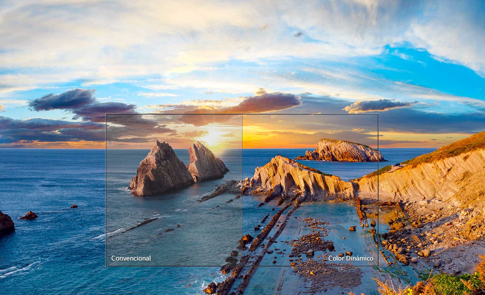 Color Dinámico<br>1