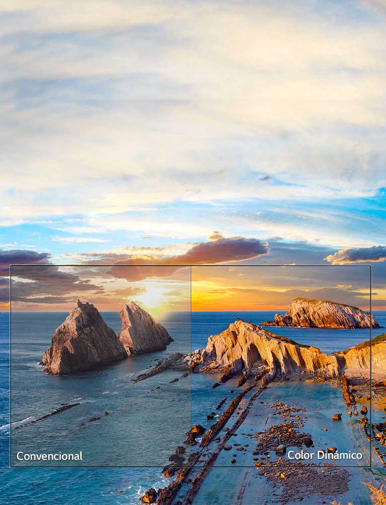 Color Dinámico<br>2