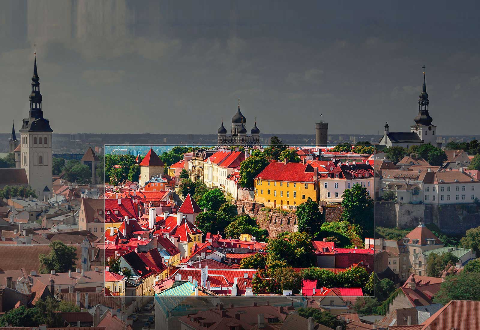 Colores sorprendentes en la pantalla Nano Cell™1