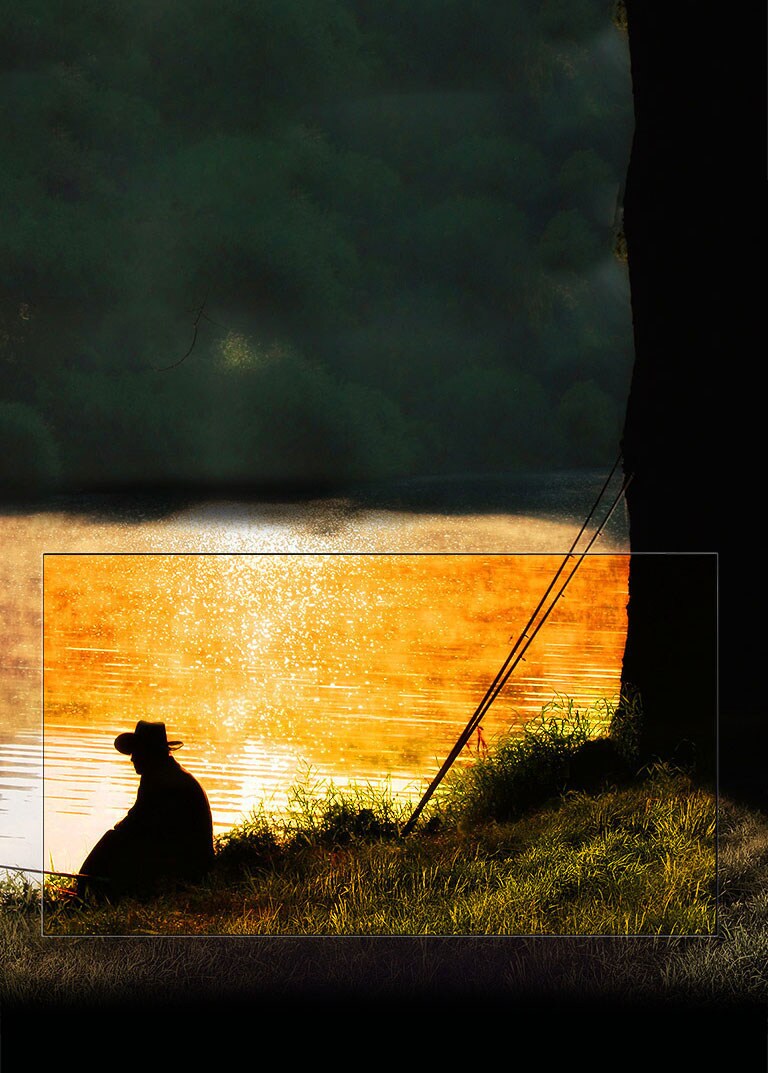 Negro perfecto. Contraste impresionante.2