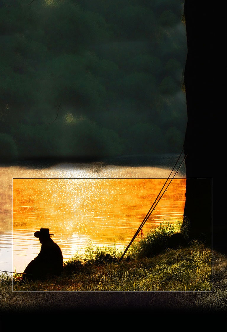 Negro perfecto. Contraste impresionante.2