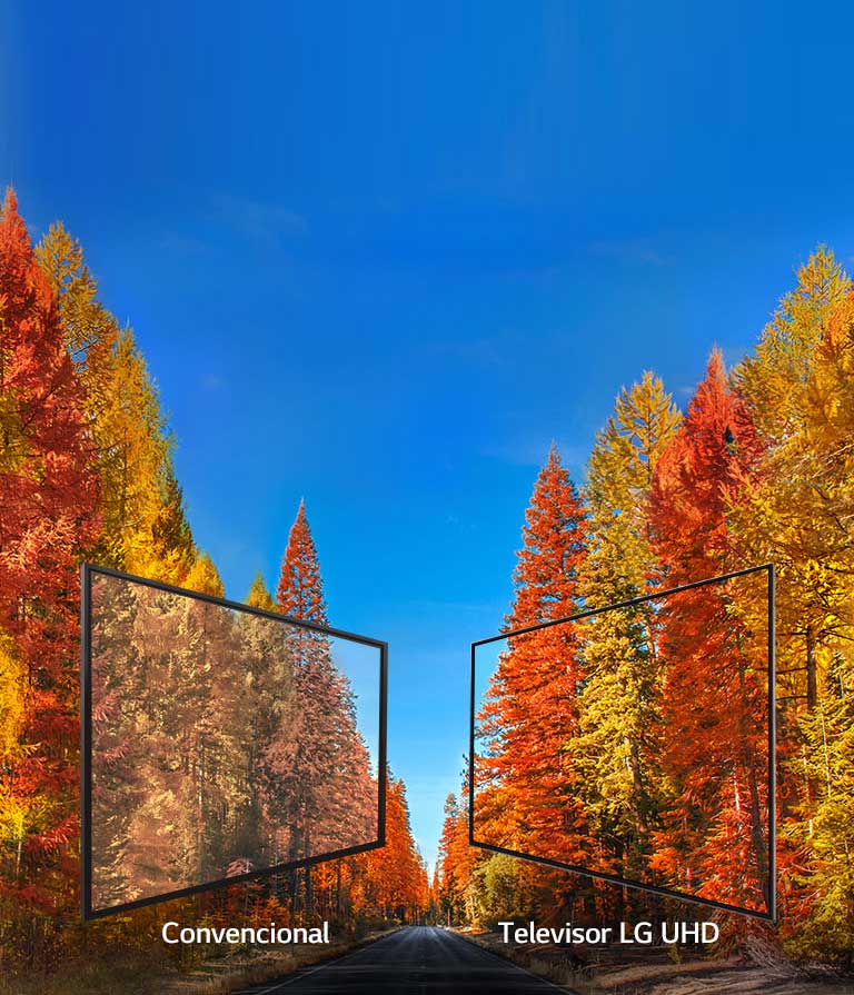 Con imágenes precisas desde cualquier ángulo2