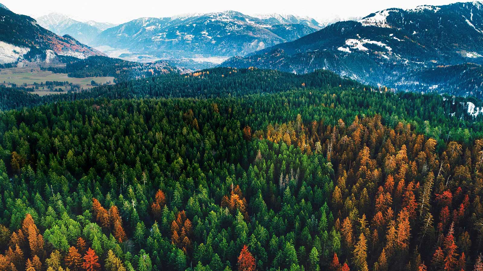 La esencia de una imagen auténtica<br>1