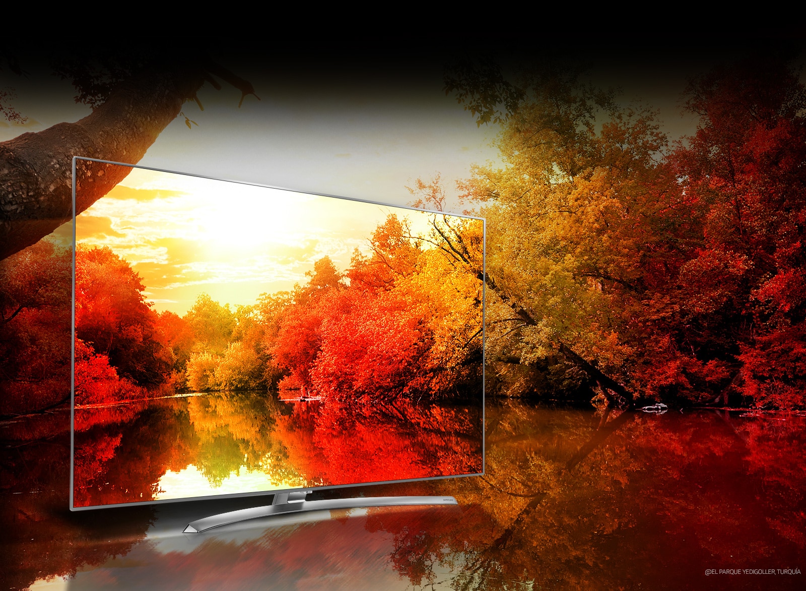 Bliion Rich Colors<br>1