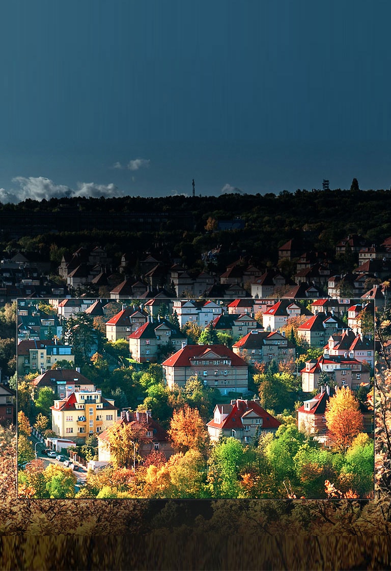 Colores espectaculares en la pantalla de Nano Cell™