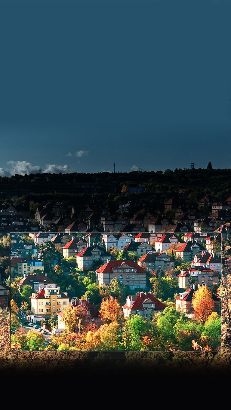 Colores sorprendentes Nano Cell™2