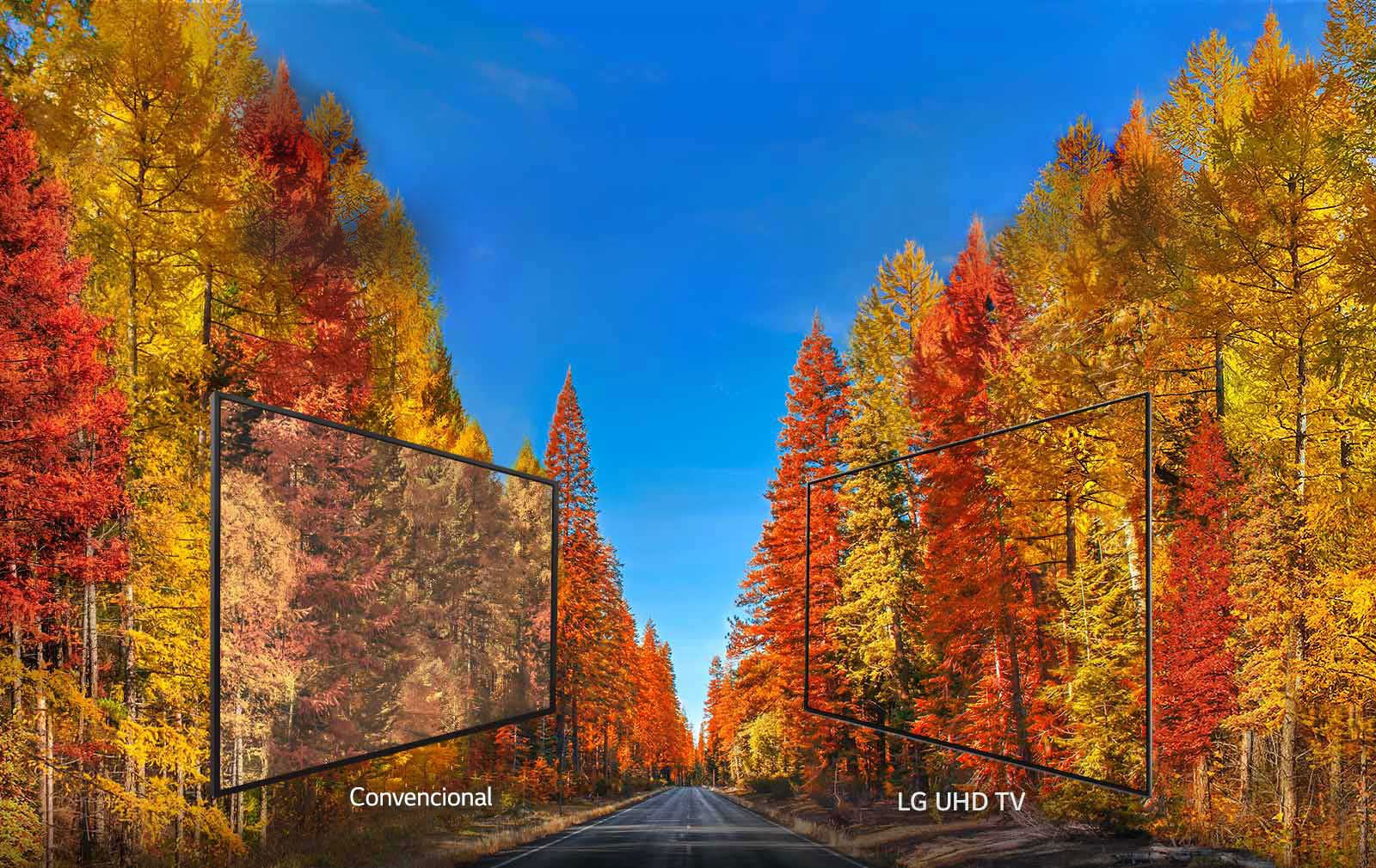 Imágenes consistentes en cualquier ángulo1