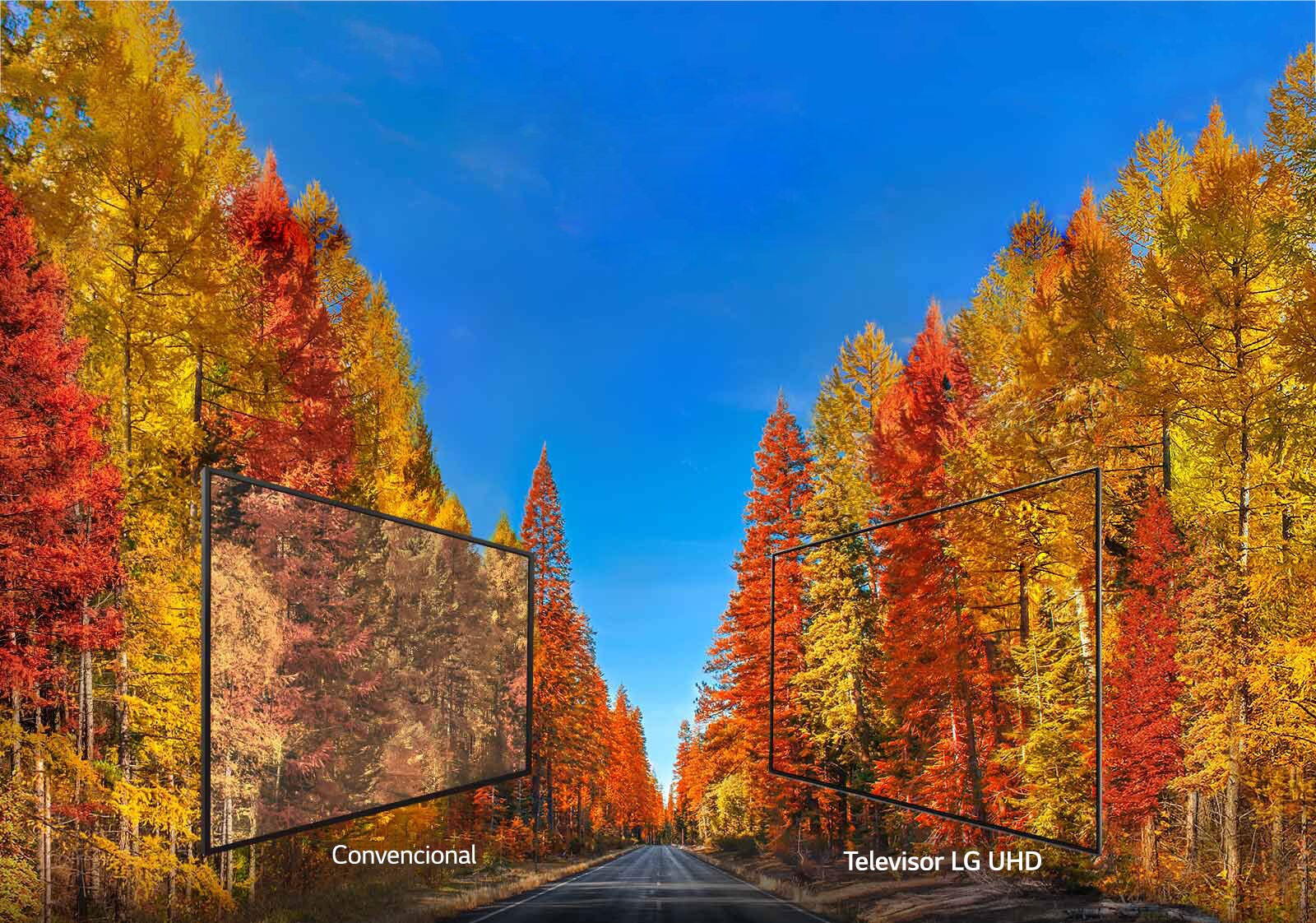 Con imágenes precisas desde cualquier ángulo