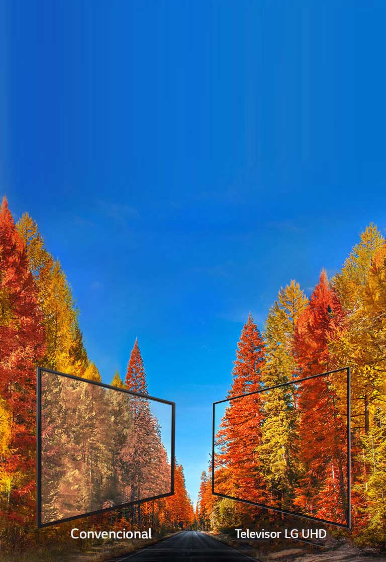 Con imágenes precisas desde cualquier ángulo<br>2