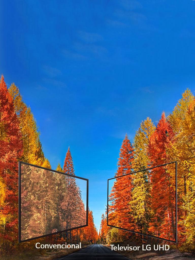 Con imágenes precisas desde cualquier ángulo2