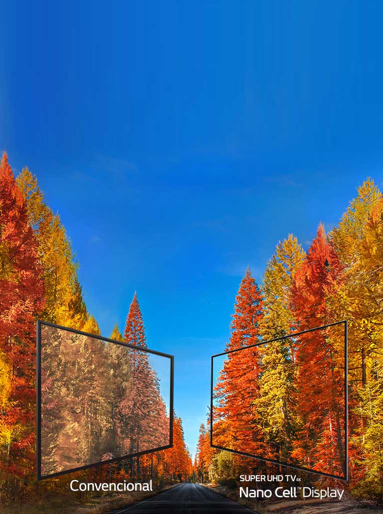 Imágenes consistentes en cualquier ángulo2