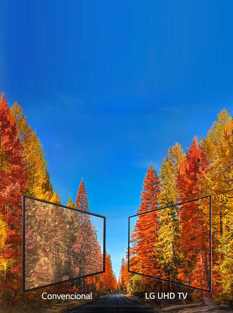 Imágenes consistentes desde cualquier ángulo.<br>2