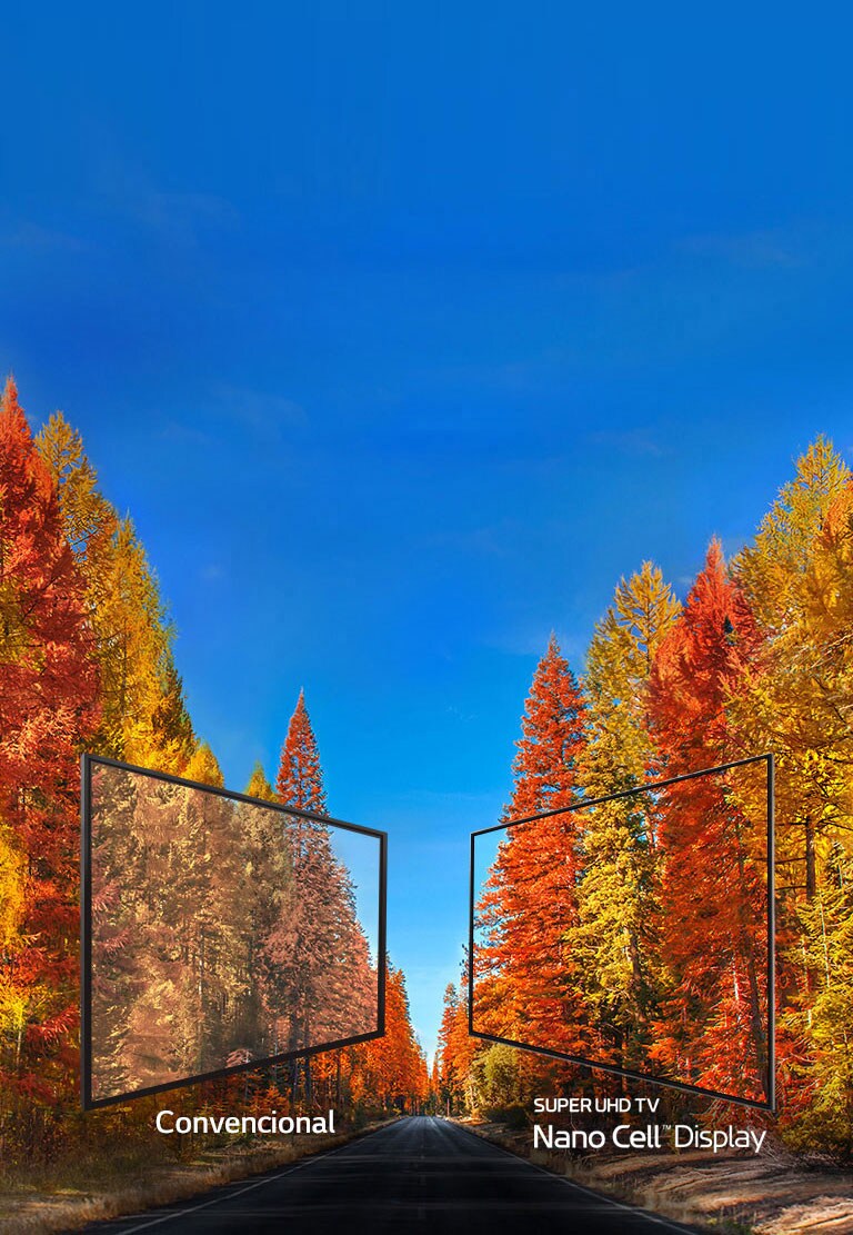 Revelando la verdad sobre los colores en la televisión