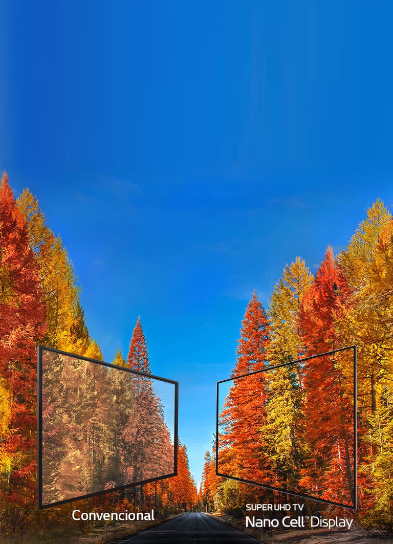 La verdad sobre los colores en TV2