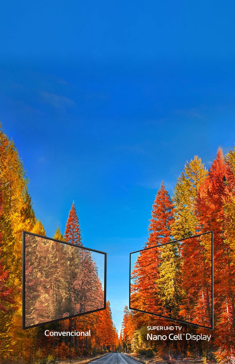 La verdad sobre los colores en TV<br>2