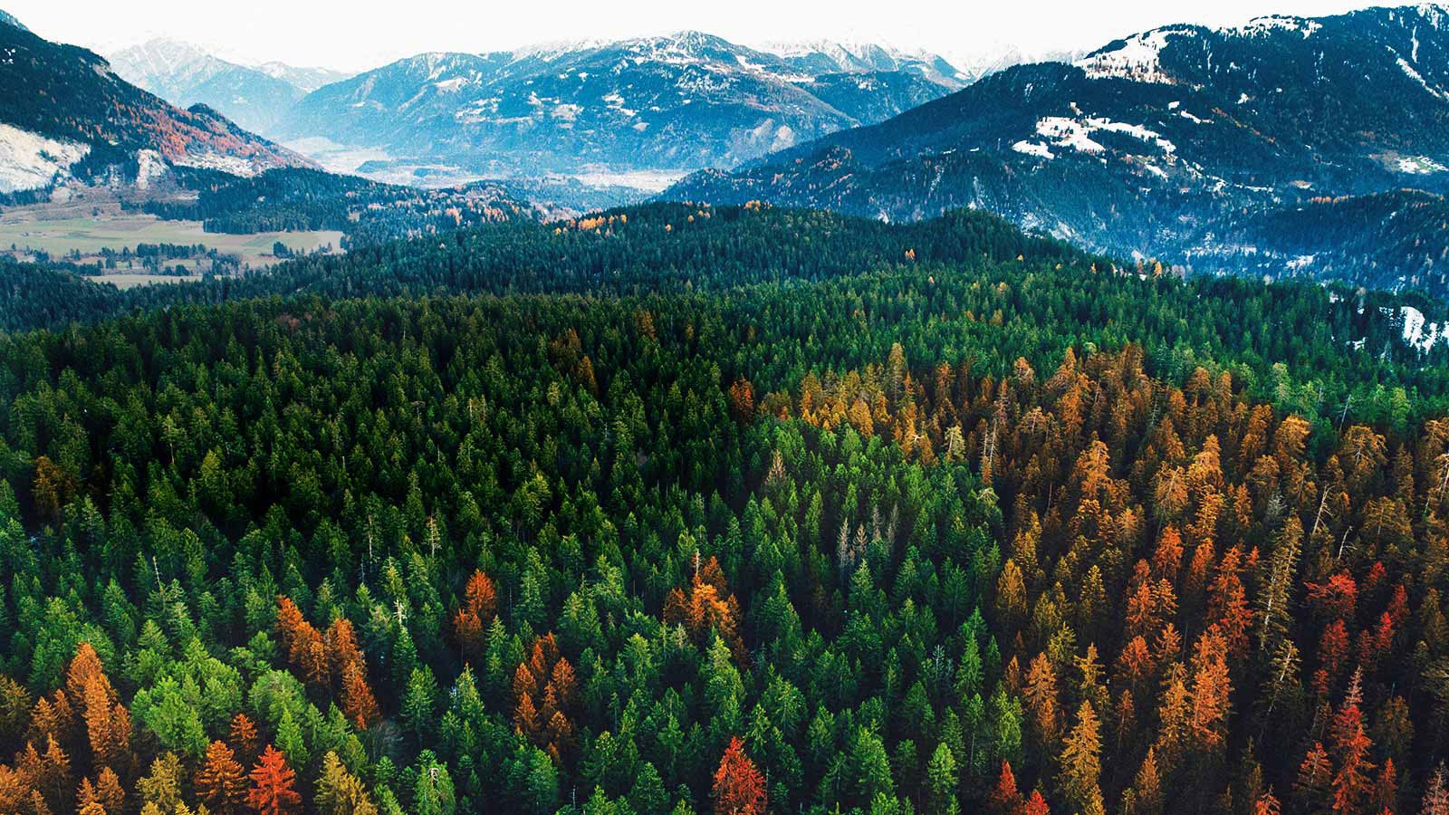 La base para una imagen auténtica<br>1