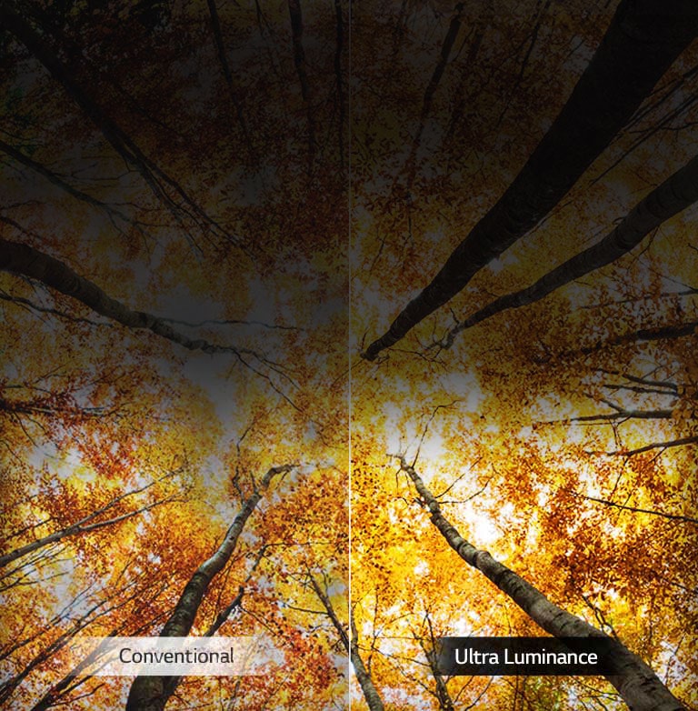 Aumento de brillo al máximo2