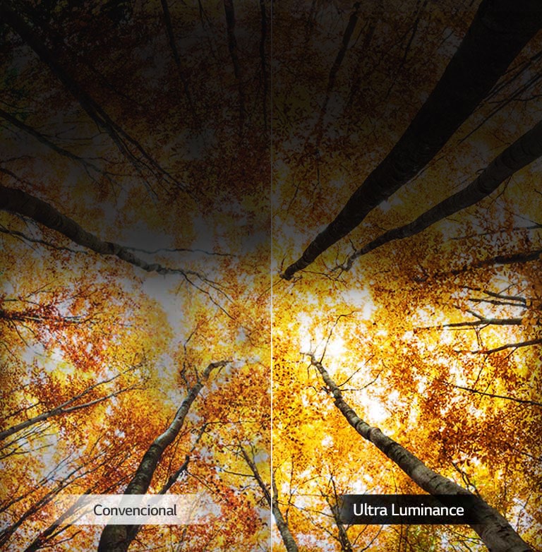 Aumento del brillo máximo2