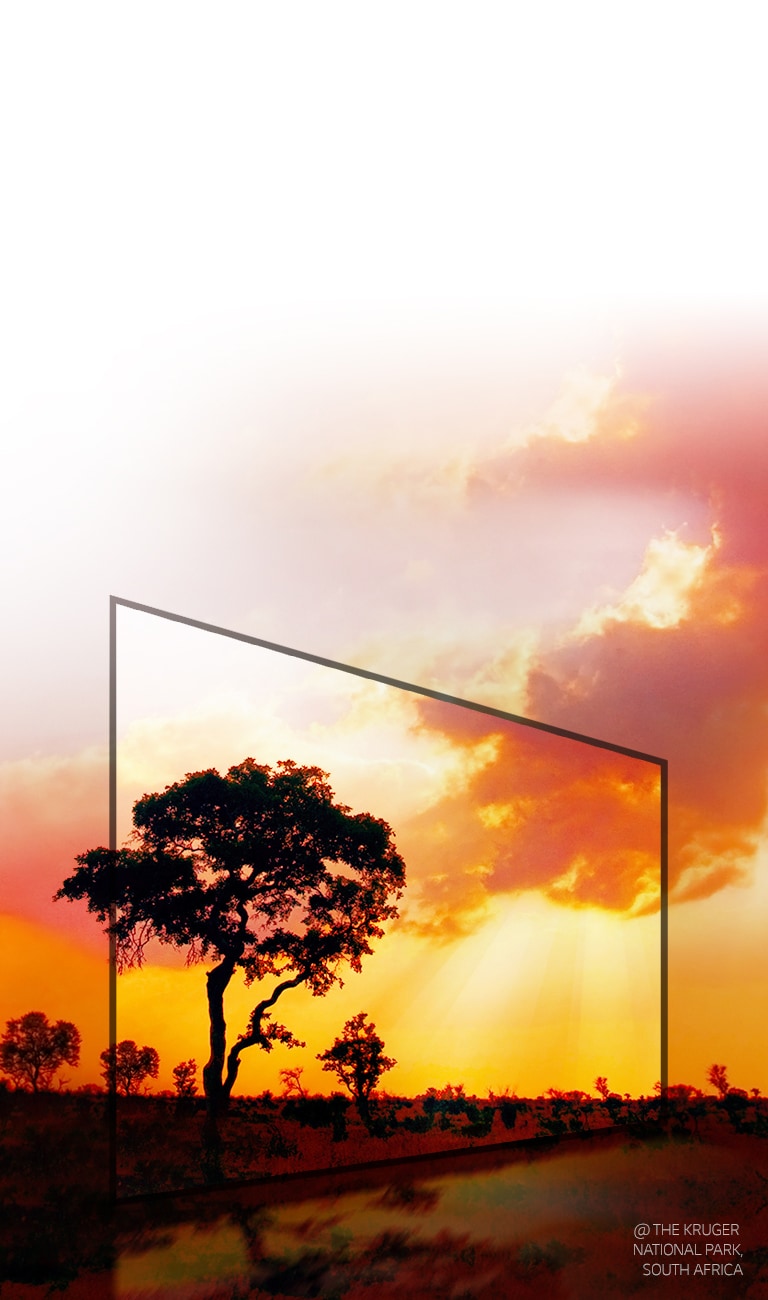 Active HDR, una nueva clase de HDR<br>2